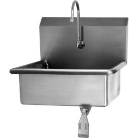 Sani-Lav® 5041 Wall Mount Sink With Single Knee Pedal Valve