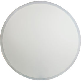 Bel-Art Polyethylene Medium Porous 45-90 Micron Filter Plate, for 36" I.D. Buchner Funnels